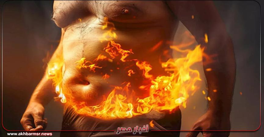 أخبار مصر 2050