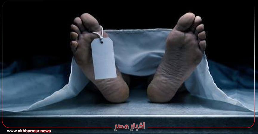 أخبار مصر 2050