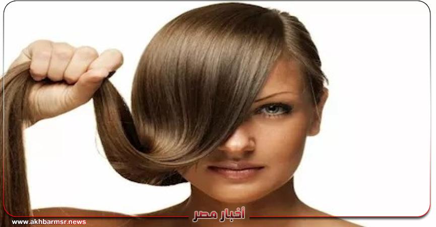 أخبار مصر 2050