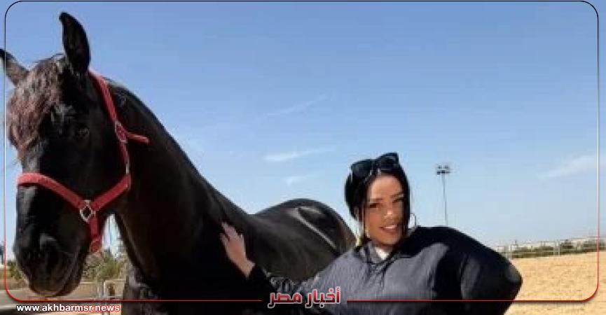 أخبار مصر 2050