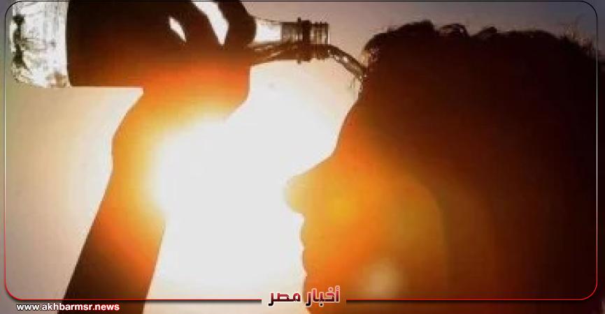 أخبار مصر 2050