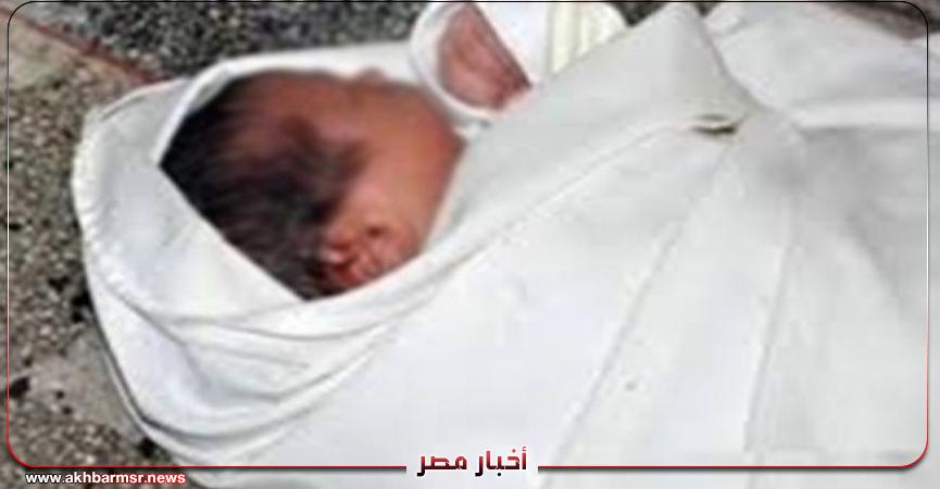 أخبار مصر 2050