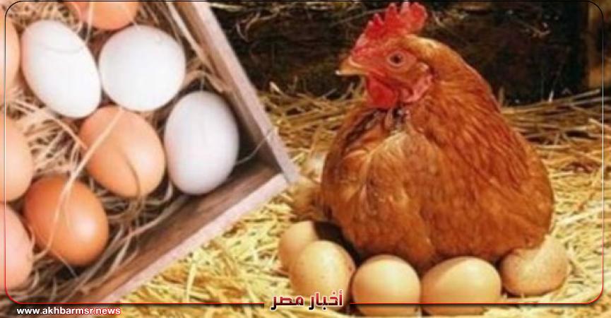 أخبار مصر 2050