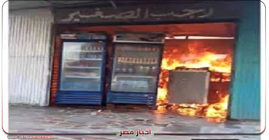 أخبار مصر 2050