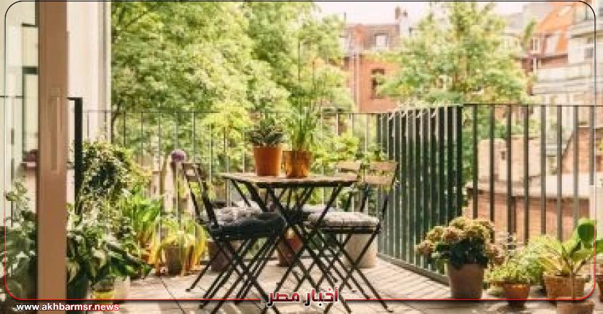 أخبار مصر 2050