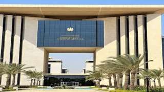 أول بيان رسمي من الخارجية بشأن وفاة ضياء العوضي