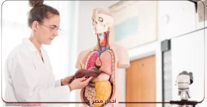 أخبار مصر 2050