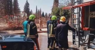 أول فيديو يرصد محاولة إمساك القرد لولو الهارب من حديقة خاصة بالمنوفية