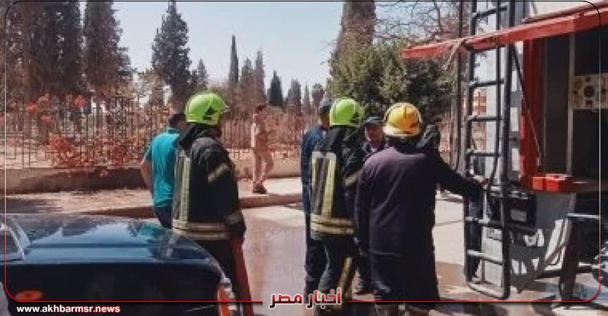 أخبار مصر 2050