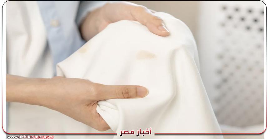 أخبار مصر 2050