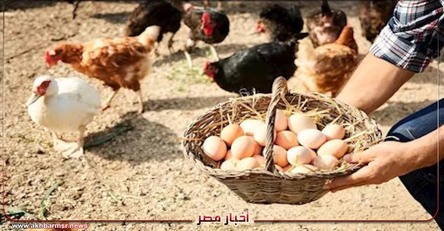 أخبار مصر 2050