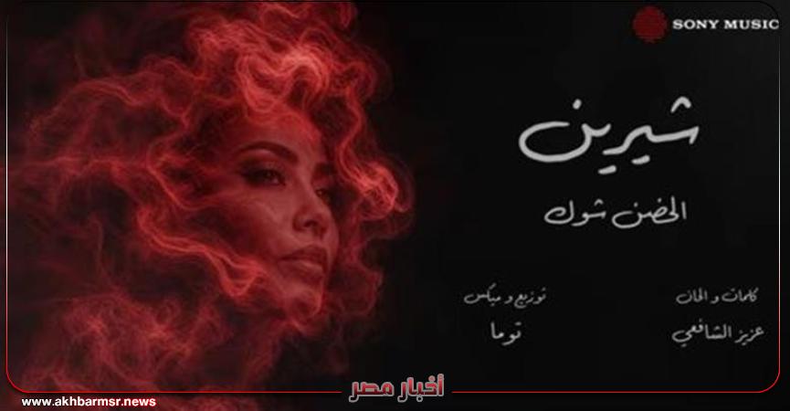 أخبار مصر 2050