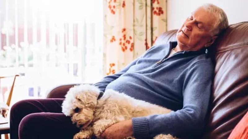 قيلولة كبار السن قد تنذر بخطر الوفاة.. بحسب العلم