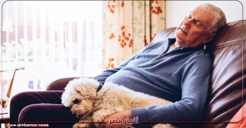 أخبار مصر 2050