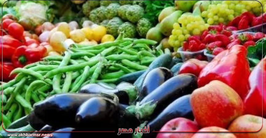 أخبار مصر 2050