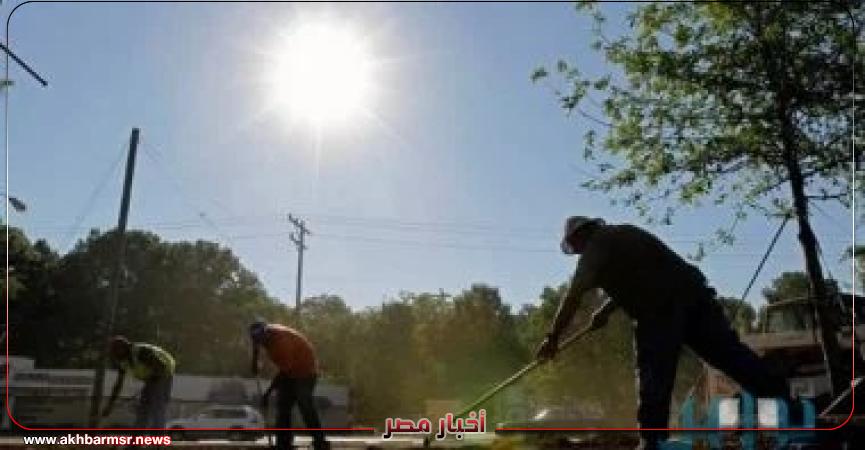 أخبار مصر 2050