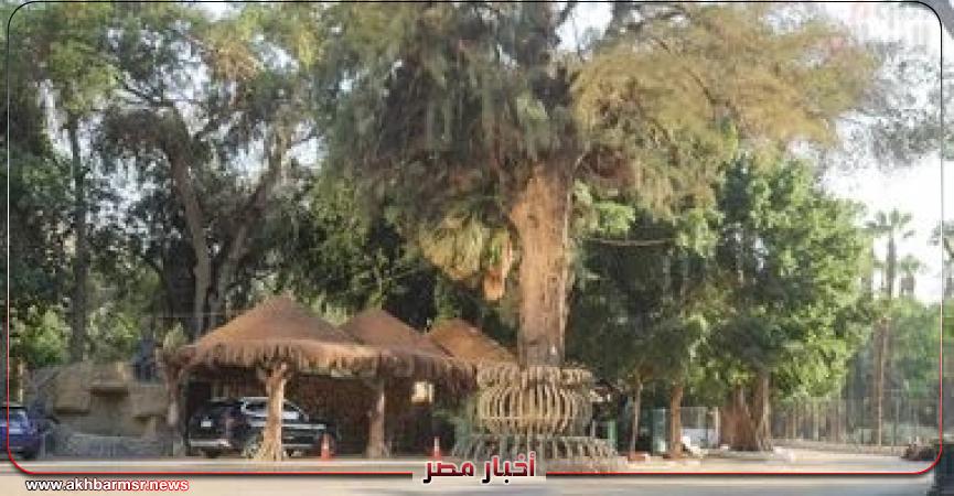 أخبار مصر 2050