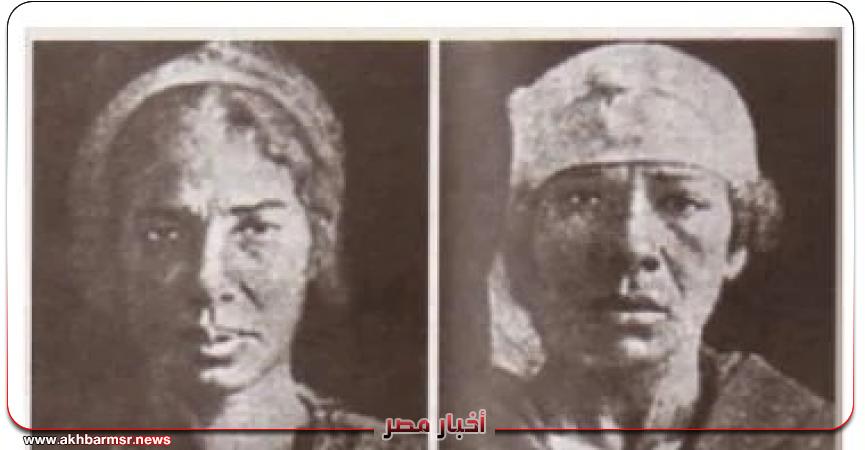 أخبار مصر 2050