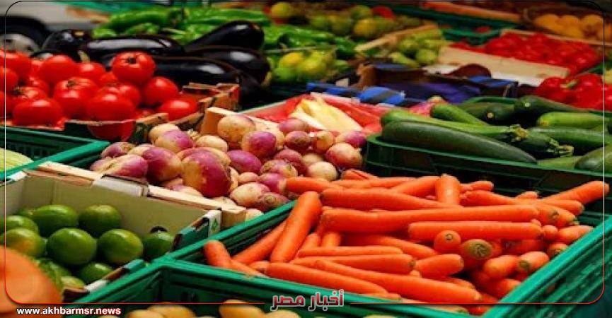 أخبار مصر 2050