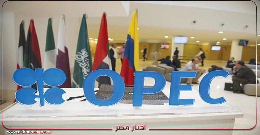 أخبار مصر 2050