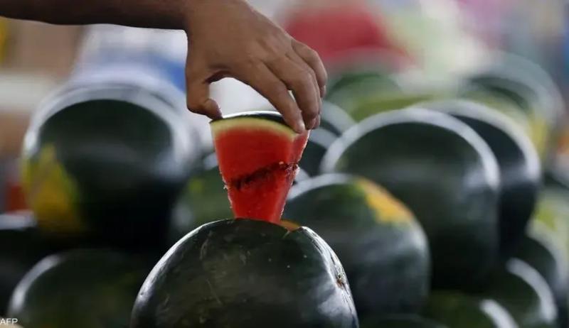 5 فئات عليها الحذر عند تناول البطيخ: قد يسبب طفحًا جلديًا ويرفع السكر في الدم