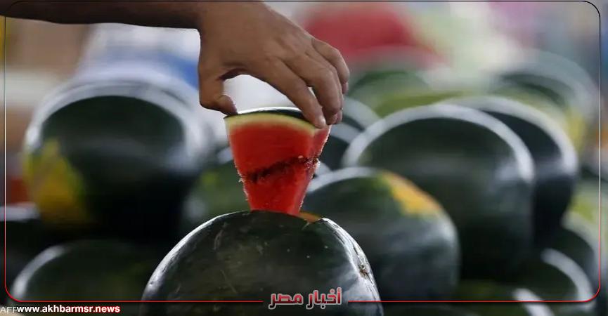 أخبار مصر 2050