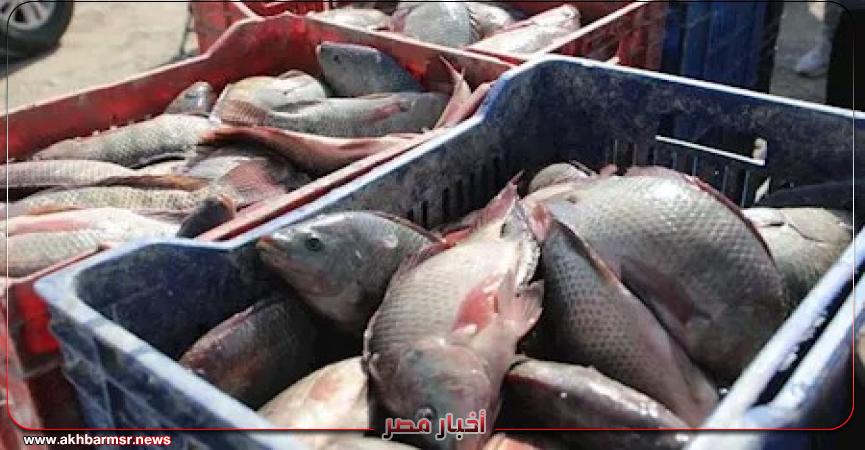 أخبار مصر 2050