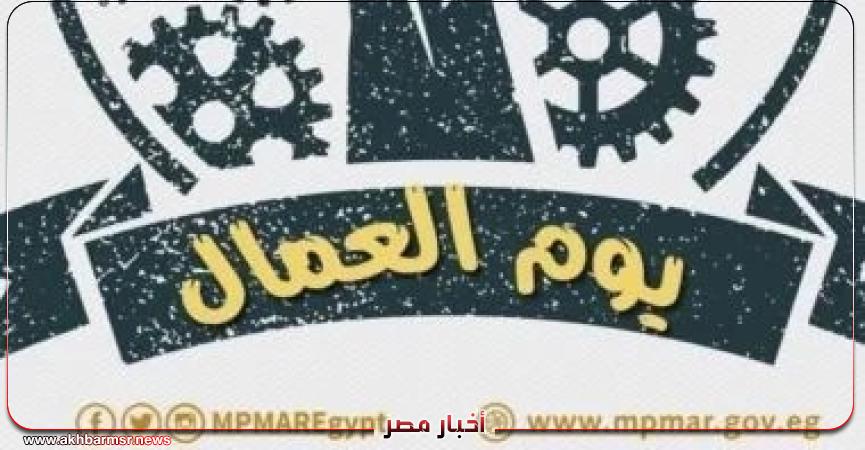 أخبار مصر 2050