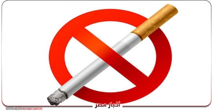 أخبار مصر 2050