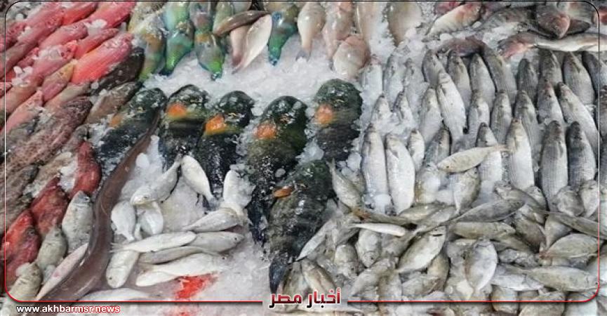 أخبار مصر 2050
