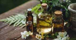 طرق طبيعية لطرد الناموس والذباب من المنزل.. آمنة على صحة أسرتك
