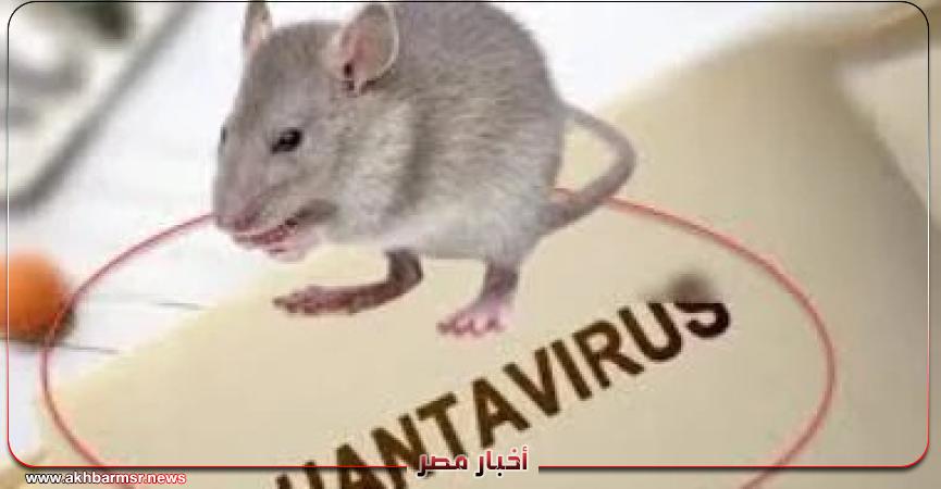 أخبار مصر 2050