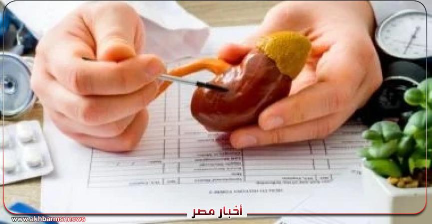 أخبار مصر 2050