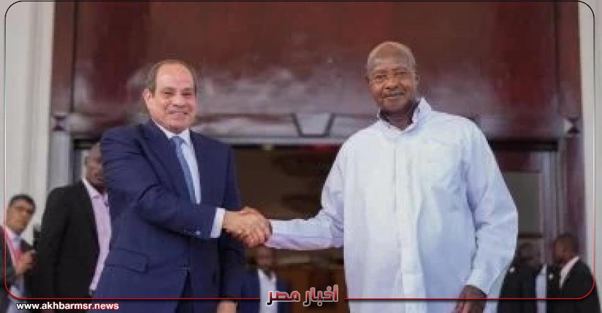 أخبار مصر 2050