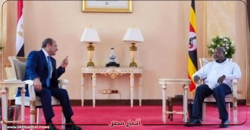 أخبار مصر 2050