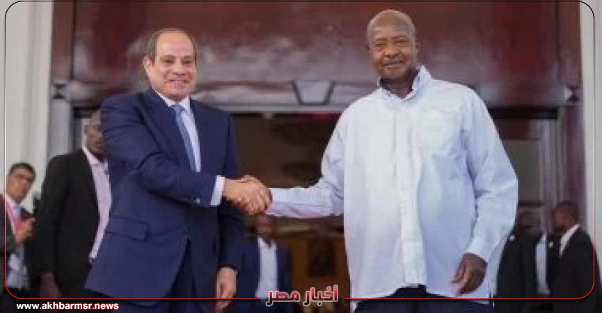 أخبار مصر 2050