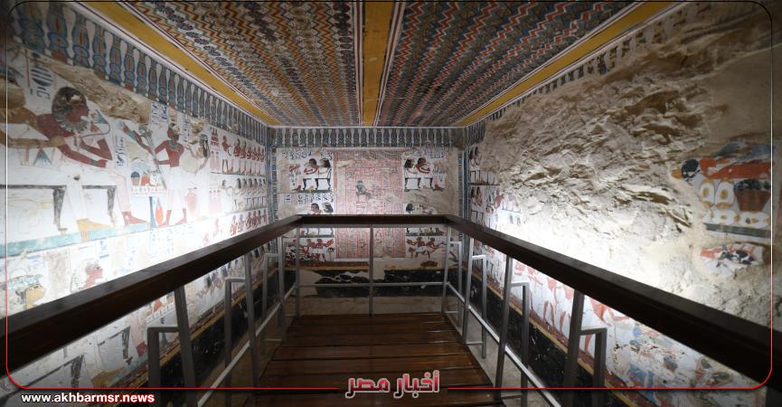 أخبار مصر 2050