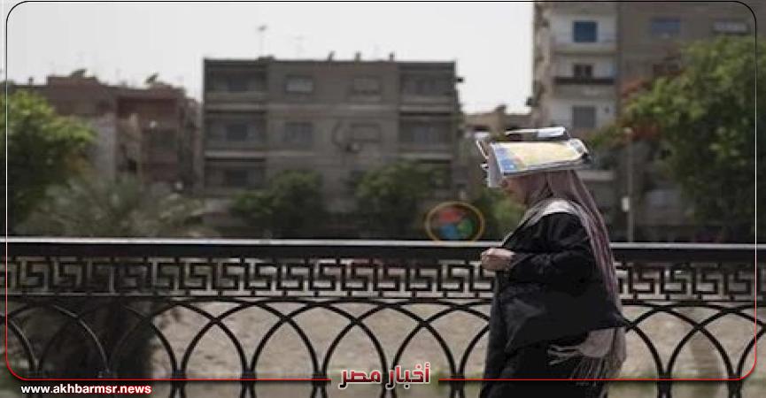 أخبار مصر 2050