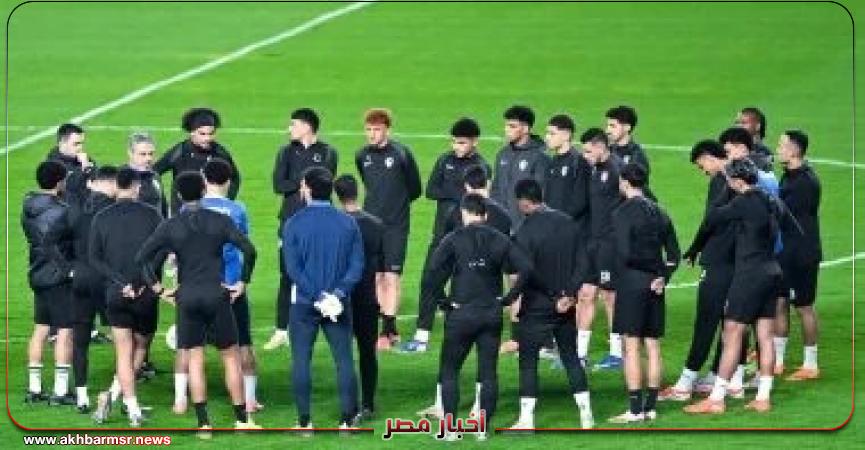 أخبار مصر 2050