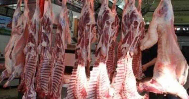 عاجل الزراعة: طرح لحوم وسلع مخفضة بـ25% فى 600 منفذ استعداداً لعيد الأضحى