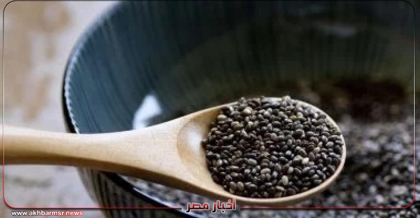 أخبار مصر 2050