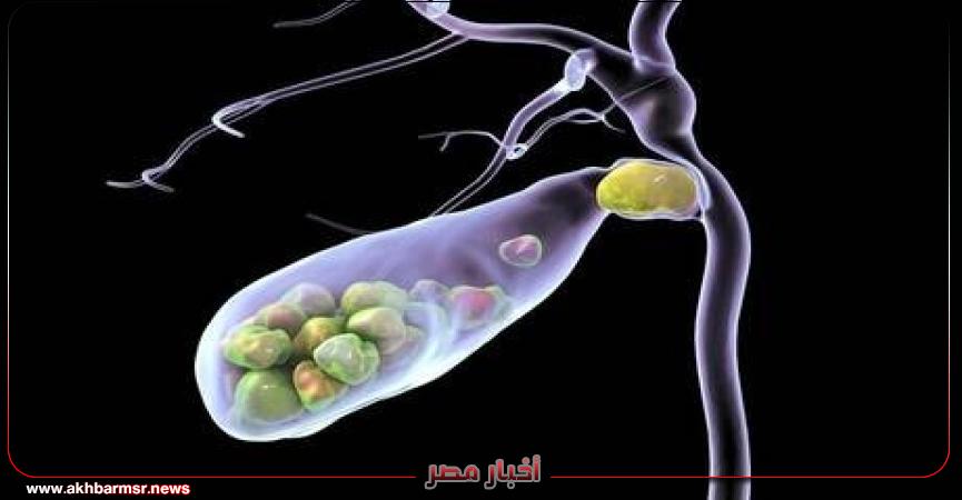 أخبار مصر 2050