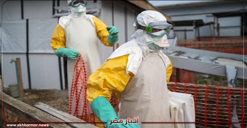 أخبار مصر 2050