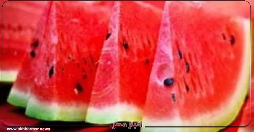 أخبار مصر 2050