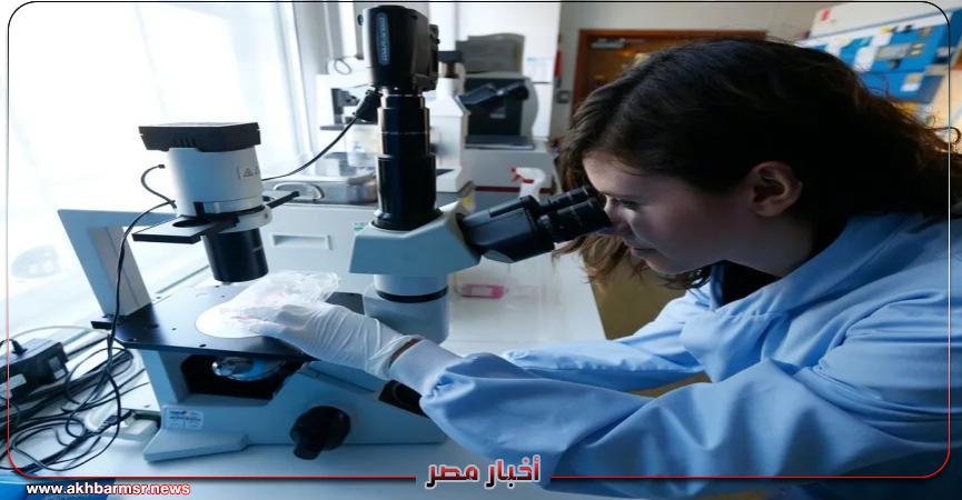 أخبار مصر 2050
