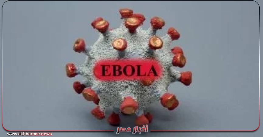 أخبار مصر 2050