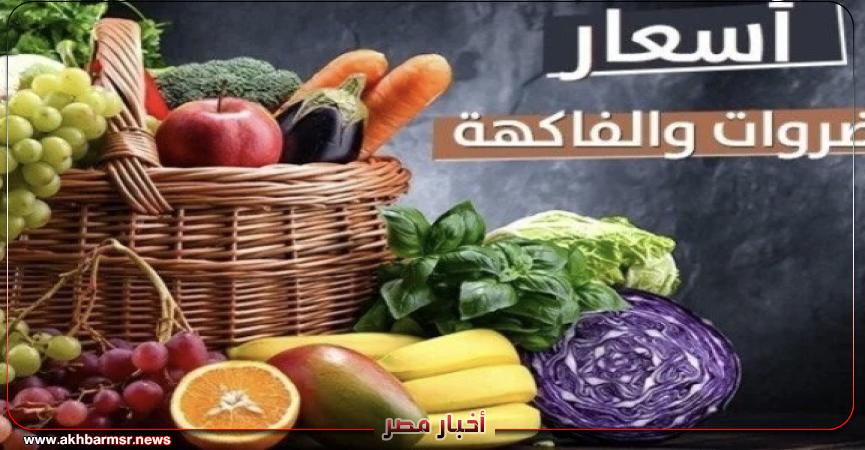 أخبار مصر 2050