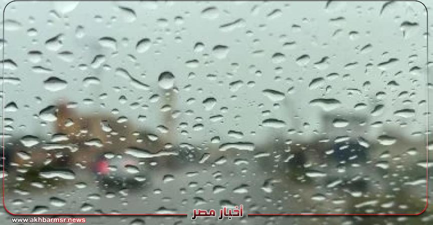 أخبار مصر 2050