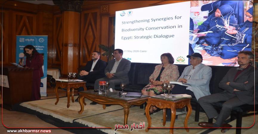 أخبار مصر 2050