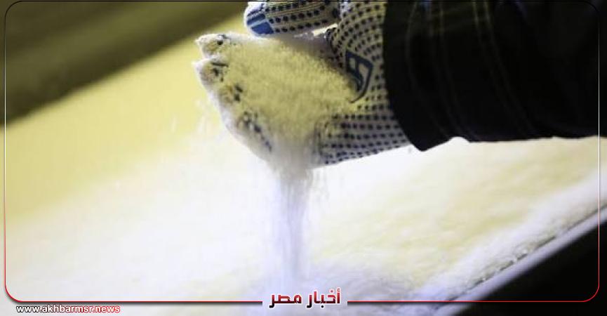 أخبار مصر 2050